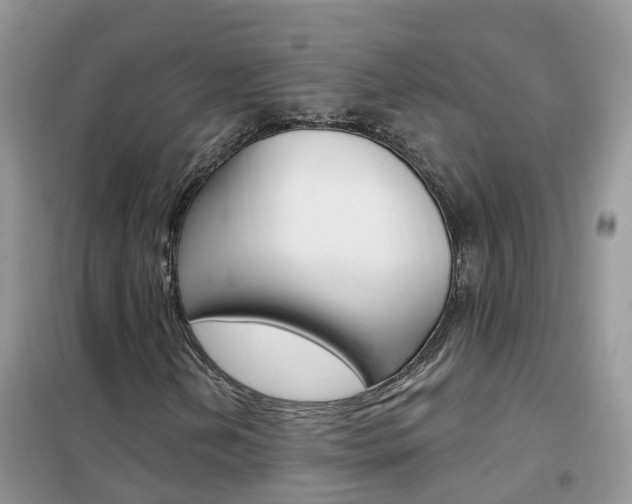 X0000102361202200808010951