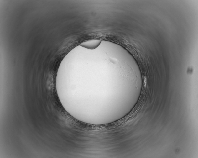 X0000102361203200808010951