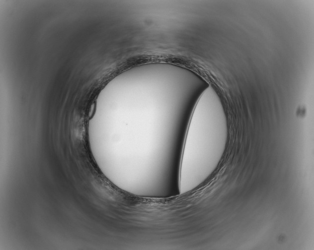 X0000102361204200808010951
