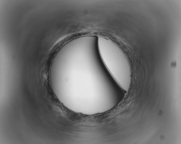 X0000102361206200808010951