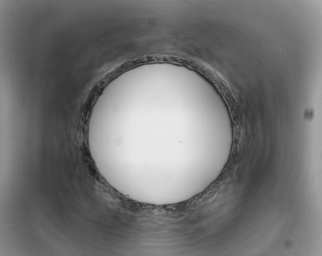 X0000102361207200808010951