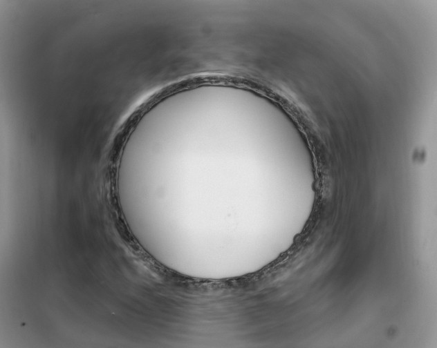X0000102361208200808010951