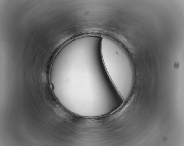 X0000102361209200808010951