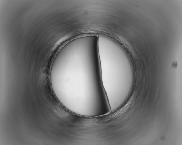 X0000102361210200808010951