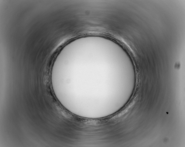 X0000102361211200808010951