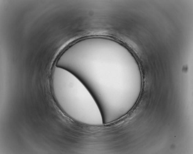 X0000102361212200808010951
