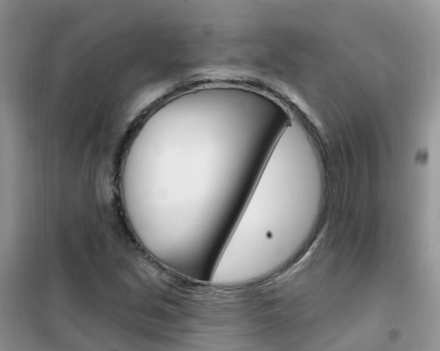 X0000102361213200808010951