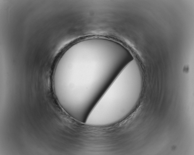 X0000102361214200808010951