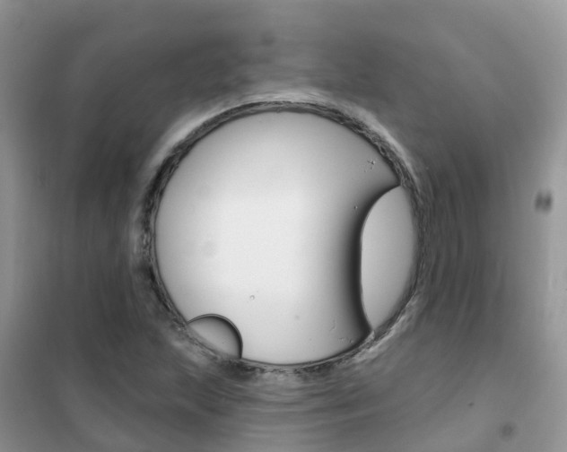 X0000102361215200808010951