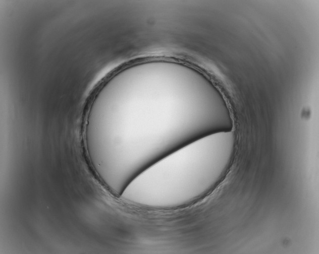 X0000102361216200808010951