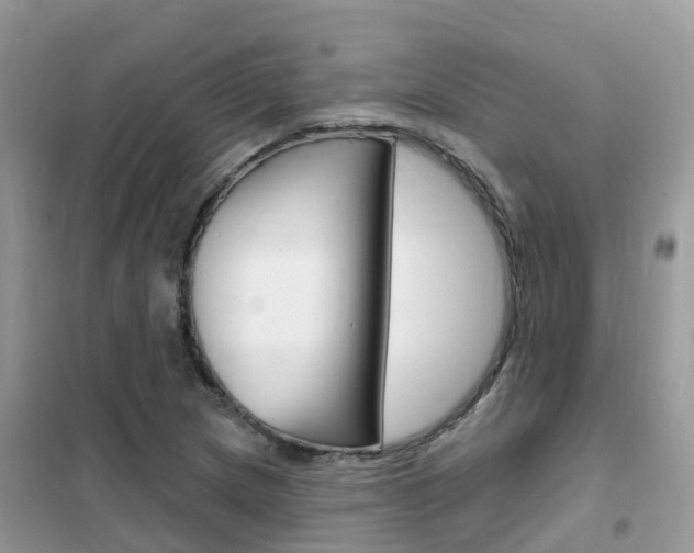 X0000102361217200808010951