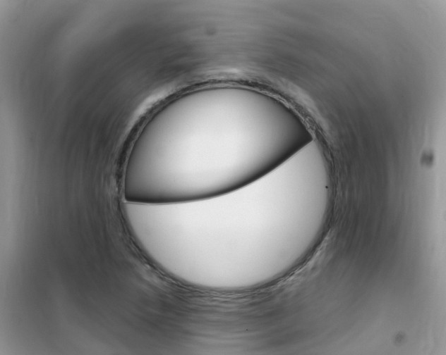 X0000102361218200808010951