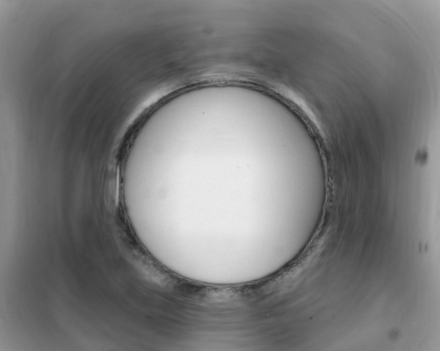 X0000102361219200808010951