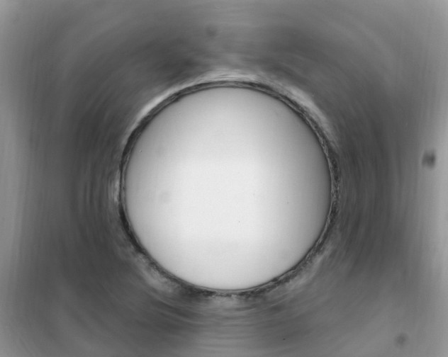 X0000102361220200808010951