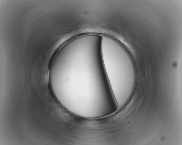 X0000102361221200808010951