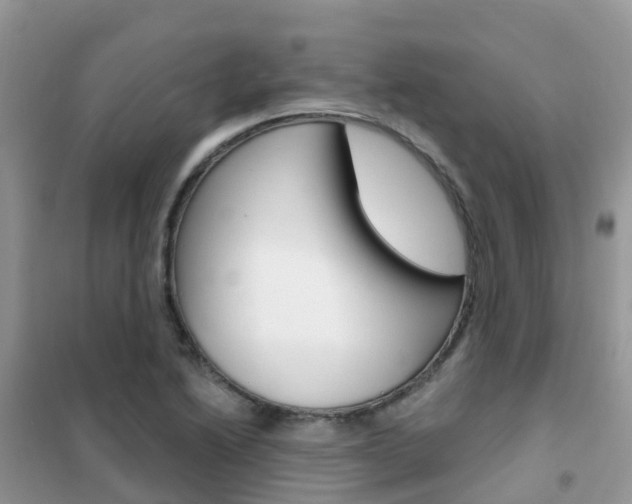 X0000102361222200808010951
