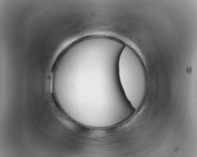 X0000102361223200808010951