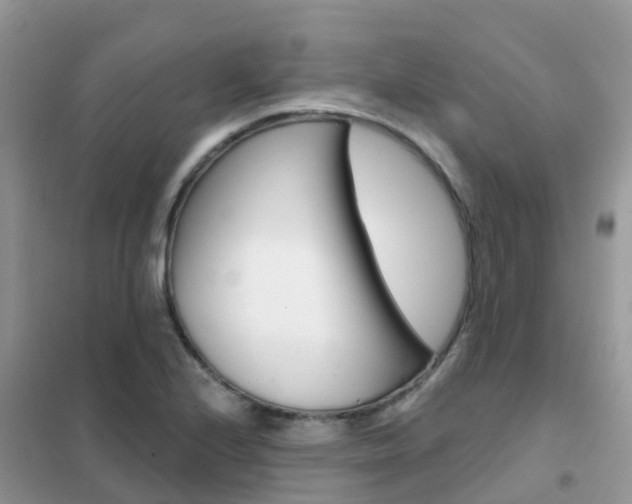 X0000102361224200808010951