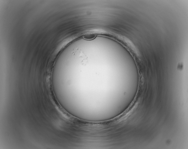 X0000102361225200808010951