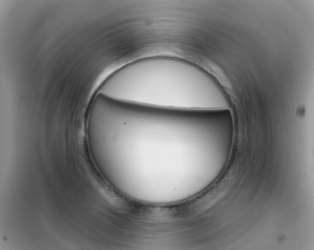 X0000102361226200808010951