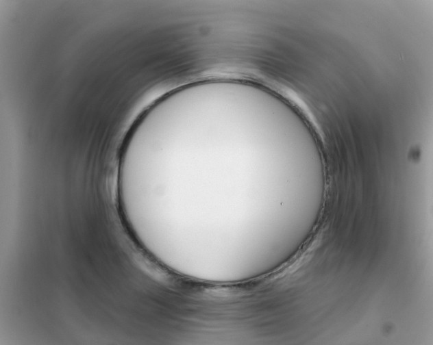 X0000102361227200808010951