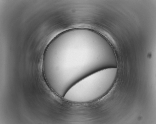 X0000102361228200808010951