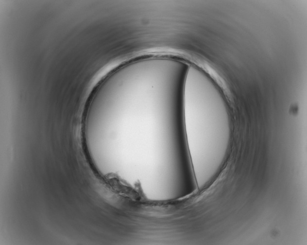 X0000102361229200808010951
