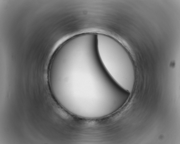 X0000102361230200808010951
