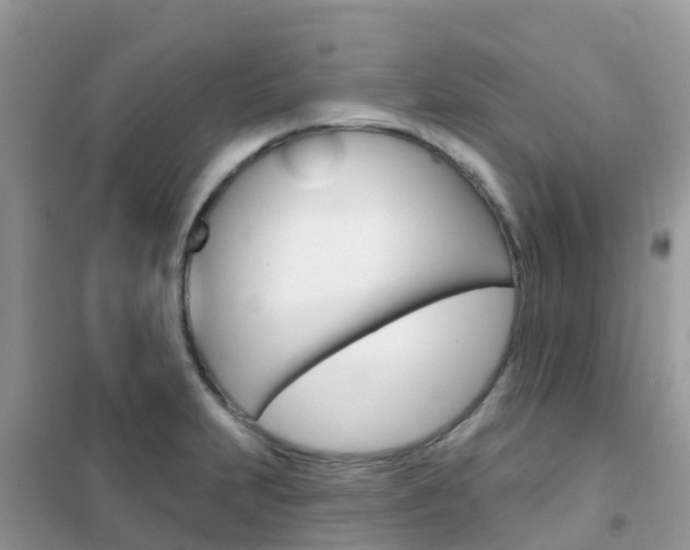 X0000102361231200808010951