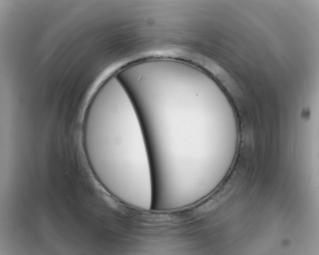 X0000102361232200808010951