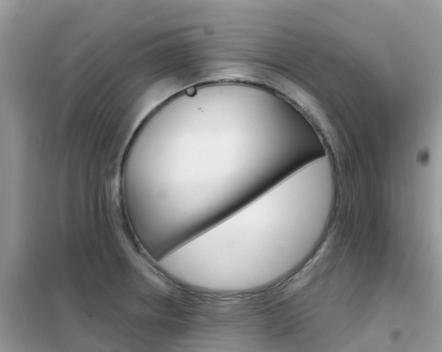 X0000102361234200808010951