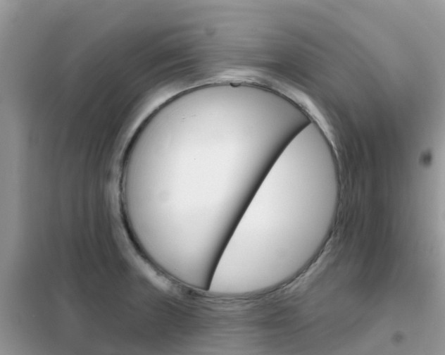 X0000102361235200808010951