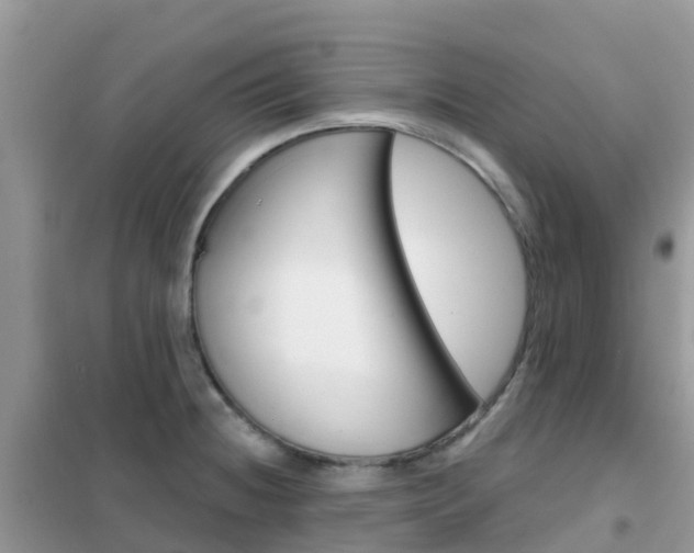 X0000102361236200808010951