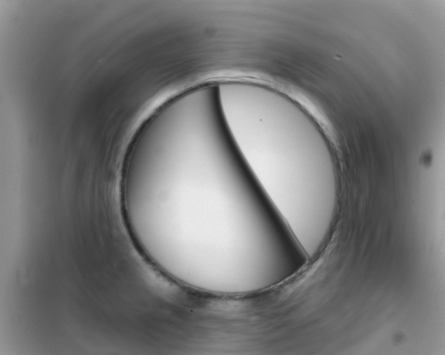 X0000102361237200808010951