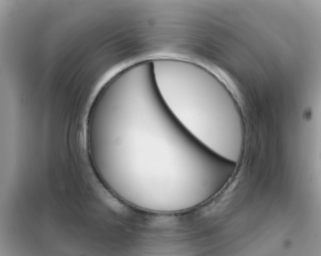 X0000102361238200808010951