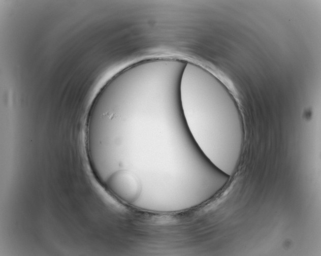 X0000102361239200808010951