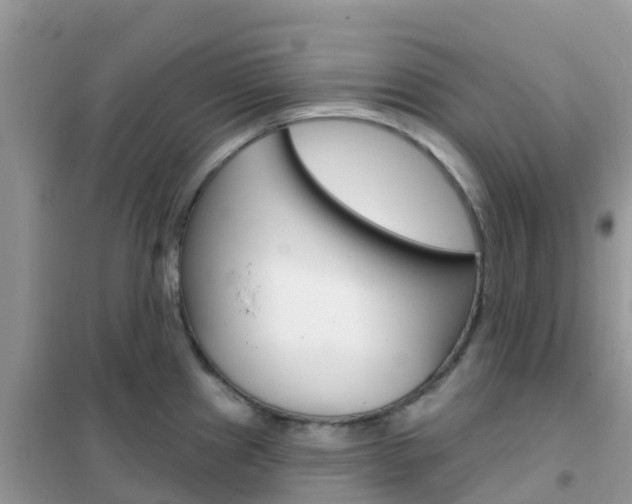 X0000102361241200808010951