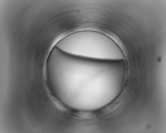 X0000102361242200808010951