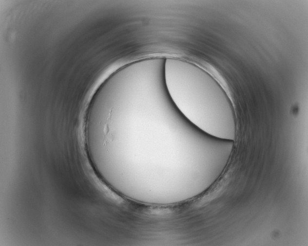 X0000102361243200808010951