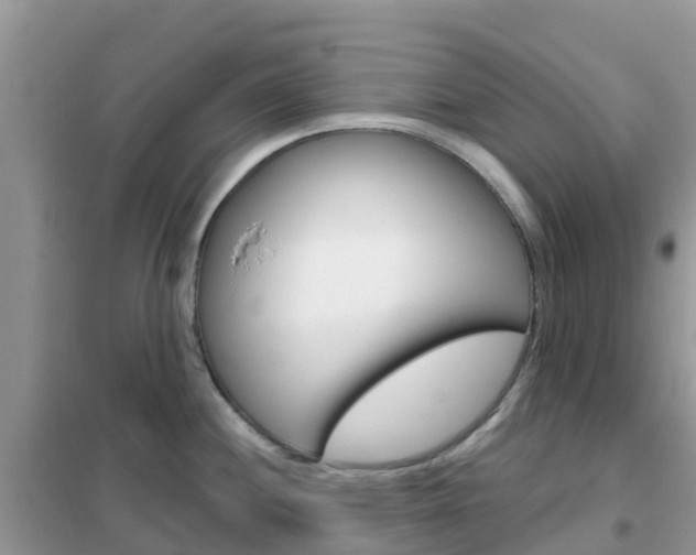 X0000102361244200808010951
