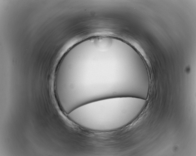 X0000102361245200808010951