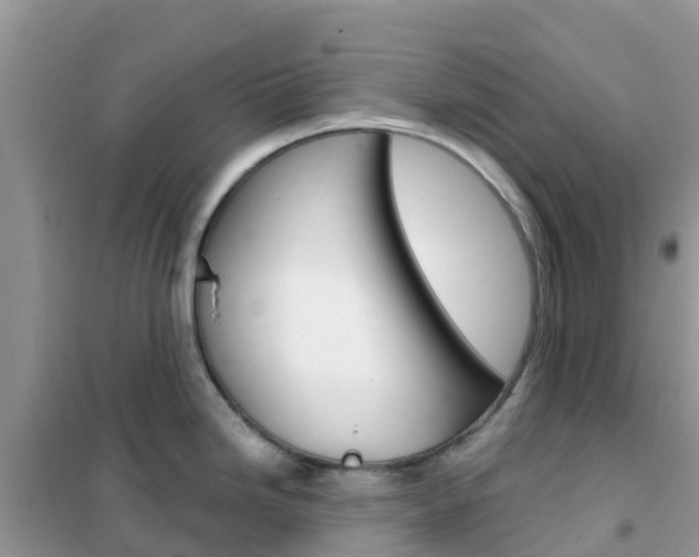 X0000102361246200808010951