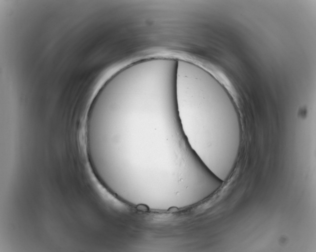 X0000102361247200808010951