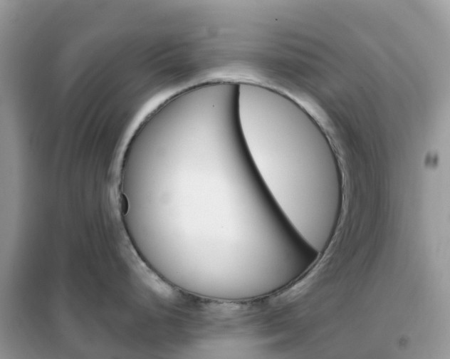 X0000102361248200808010951