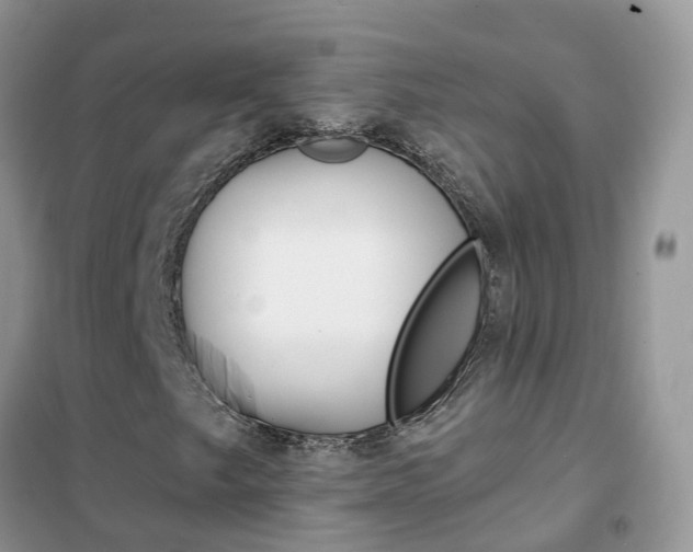 X0000102361249200808010951