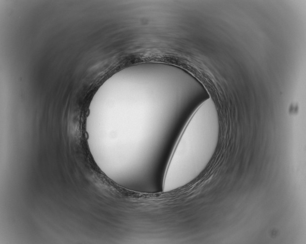 X0000102361250200808010951
