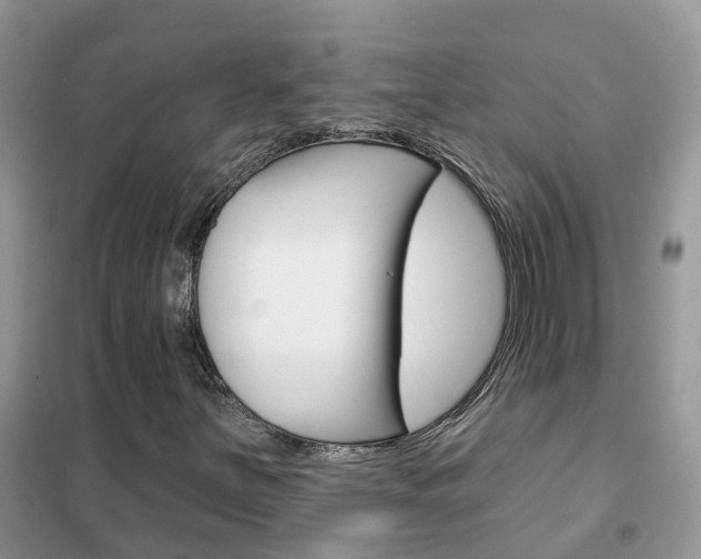 X0000102361251200808010951