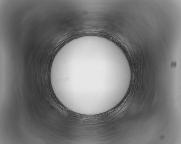 X0000102361252200808010951