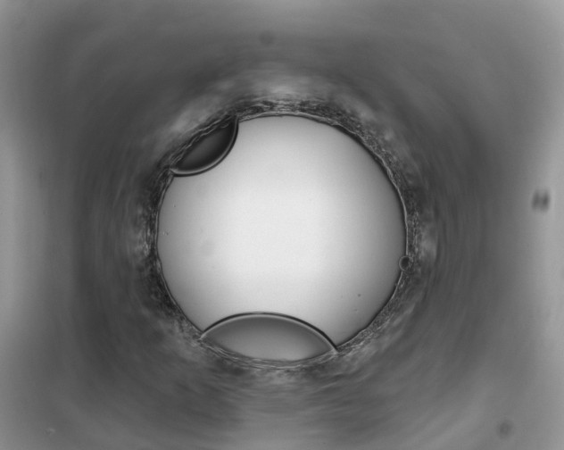 X0000102361253200808010951