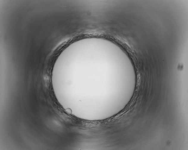 X0000102361254200808010951